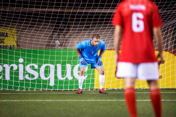 既有依依不 既有依依不