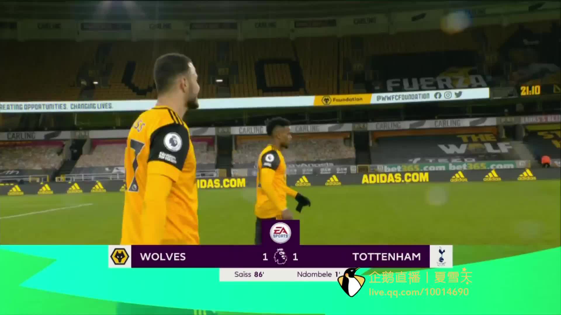 年轻球员树 年轻球员树